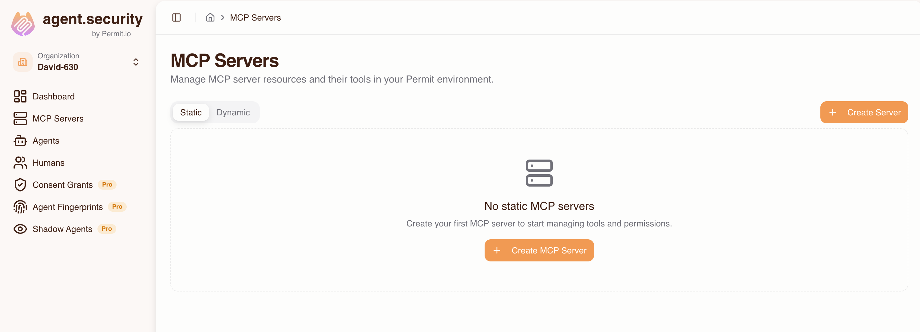 MCP Servers tab in host configuration