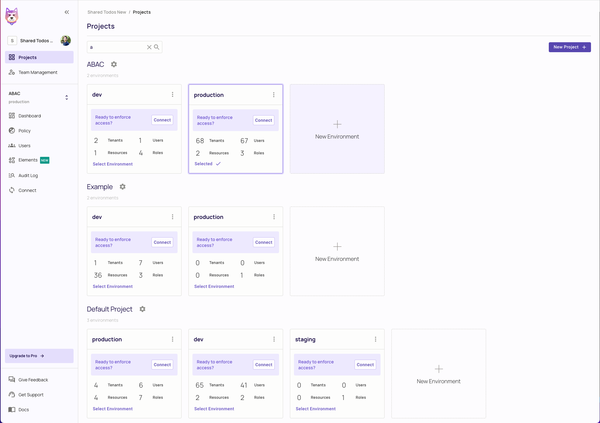 Project and Environment Page