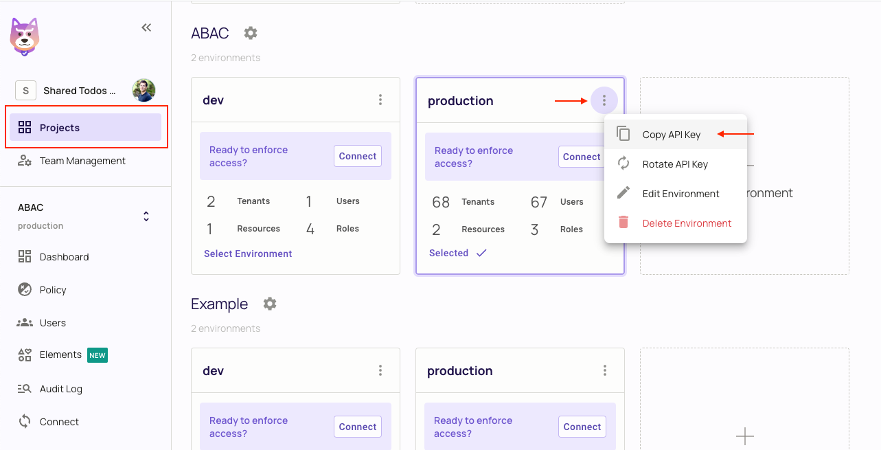 Copy secret key from Projects management